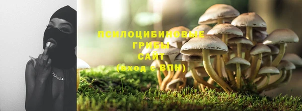 амф Богородицк