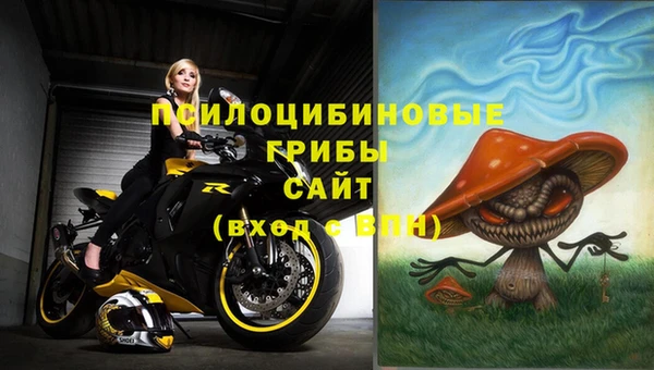 спайс Богородск
