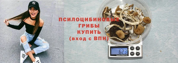 спайс Богородск