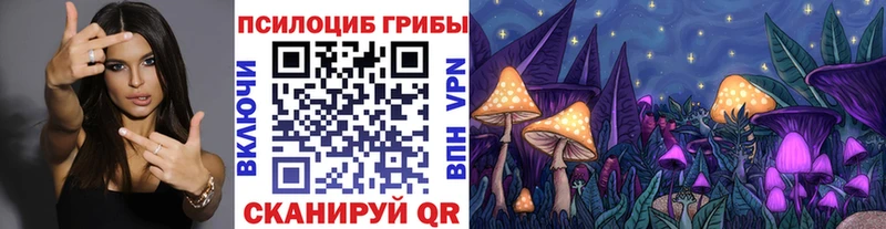 Галлюциногенные грибы прущие грибы  закладка  Певек 